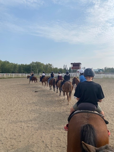 Birch Bay Horse Riding